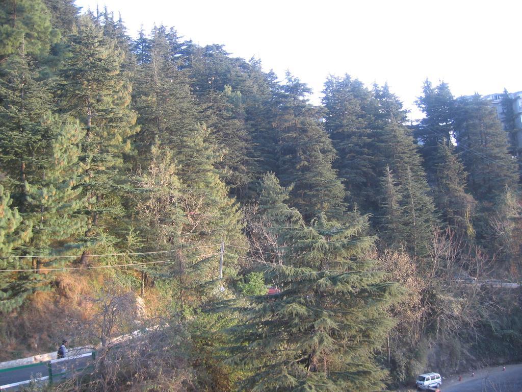 Shimla View Home Dış mekan fotoğraf