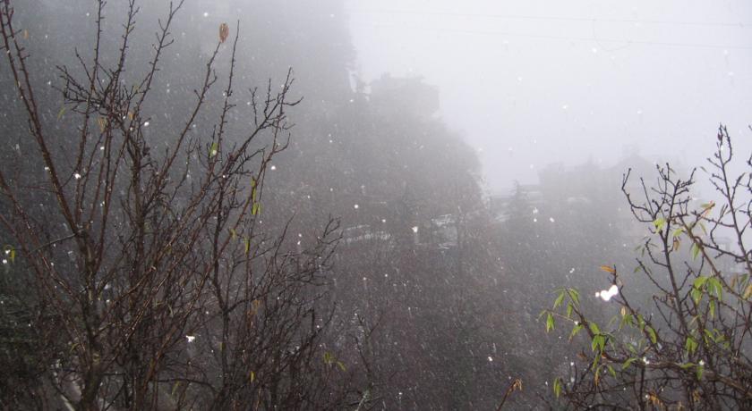 Shimla View Home Dış mekan fotoğraf