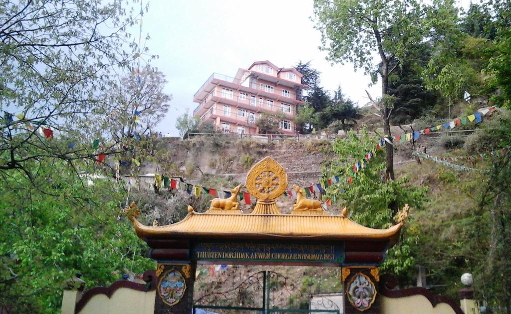 Shimla View Home Dış mekan fotoğraf